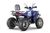 WELS THUNDER Trail 200 Pro