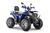 WELS THUNDER Trail 200 Pro