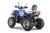 WELS THUNDER Trail 200 Pro